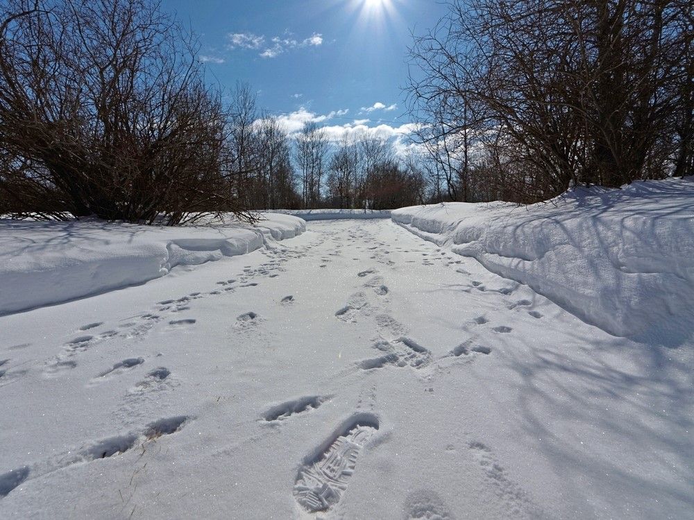 Footprintsinthesnow_DxOCustom_zps1824c25a.jpg