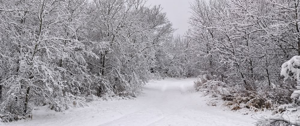 pano9Nov2010.jpg