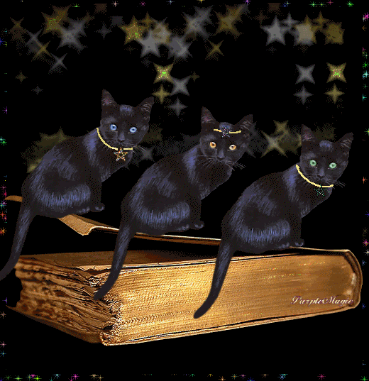 Parlak Resimler Parlak Resimler