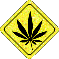 Parlak Resimler Parlak Resimler