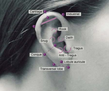 piercing the tragus. industrial or the tragus.