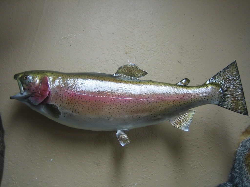rtrout5.jpg