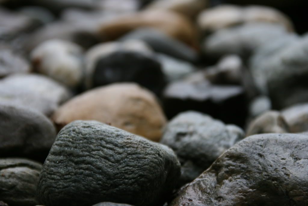 IMAGE: http://i249.photobucket.com/albums/gg204/erikhoppy/Rebel%20Shots/First%20Day%20Shots/IMG_7454.jpg