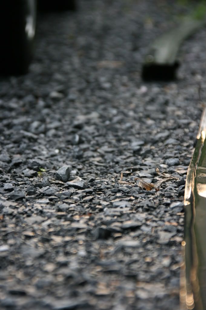 IMAGE: http://i249.photobucket.com/albums/gg204/erikhoppy/Rebel%20Shots/First%20Day%20Shots/IMG_7485.jpg?t=1216424006