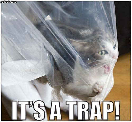 Cat_Trap.jpg