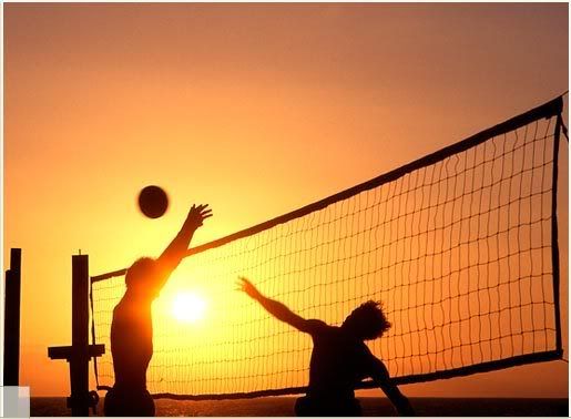 volleyball Pictures, Images and Photos