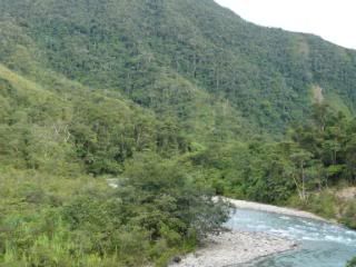 Regenwoud Ecuador