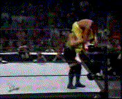 http://i249.photobucket.com/albums/gg211/alex_malaga/Big_Show_vs_Sabu1.gif