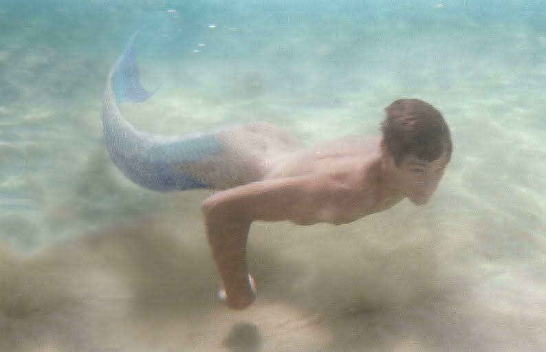 merman Pictures, Images and Photos
