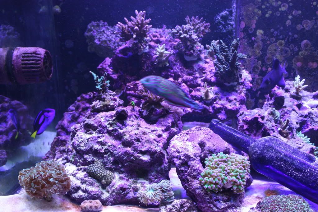 90gallon002.jpg