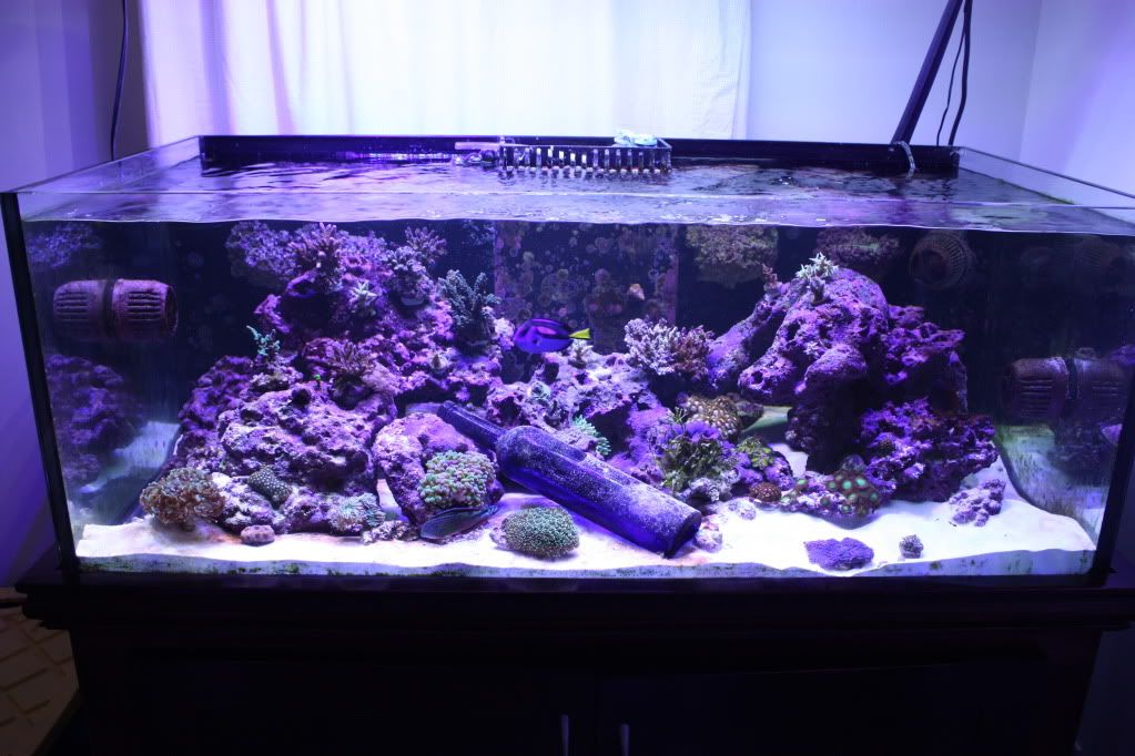 90gallon020.jpg