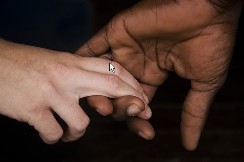 El Resimleri (1. Katalog)