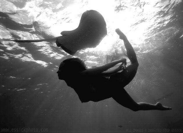 Photobucket - Video and Image Hosting