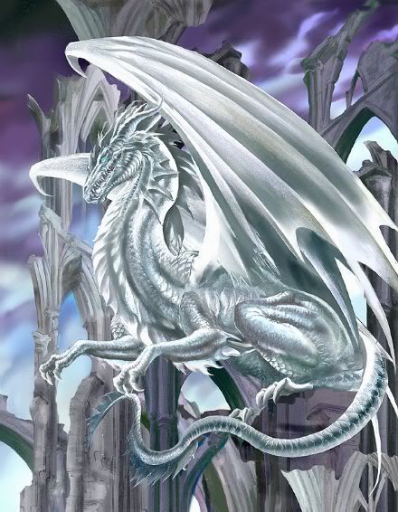 Light Dragon Pictures, Images and Photos