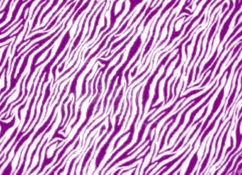  Wallpapers  Desktop on Purple Zebra Print Image   Purple Zebra Print Picture  Graphic