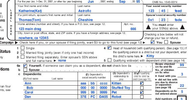 Sample income tax return (for our two cats)