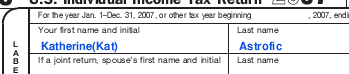 form 1040 name field, filled out