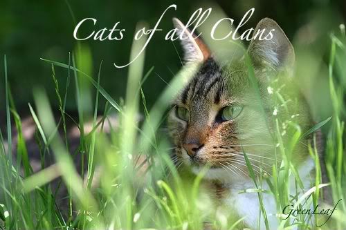Warriors: Cats of all Clans