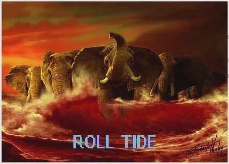 ROLL TIDE Pictures, Images and Photos