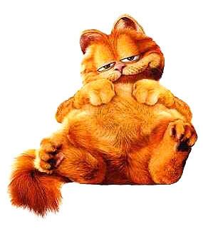 Garfield: Conheça a Versão Real do Gato Preguiçoso