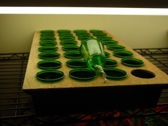  photo DSC00138_zps62538c9a.jpg