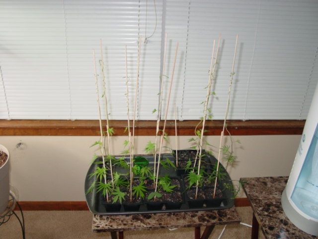  photo DSC00144_zps34ac1802.jpg