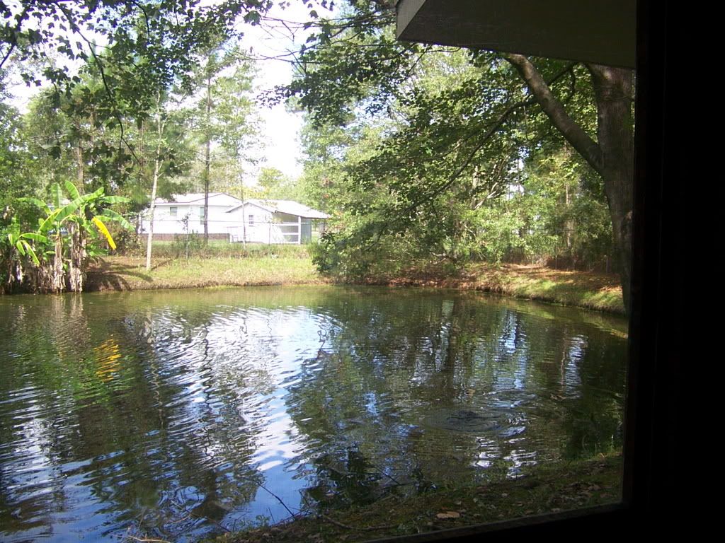 Commercial Property on State Road 121 in Macclenny Florida Baker County