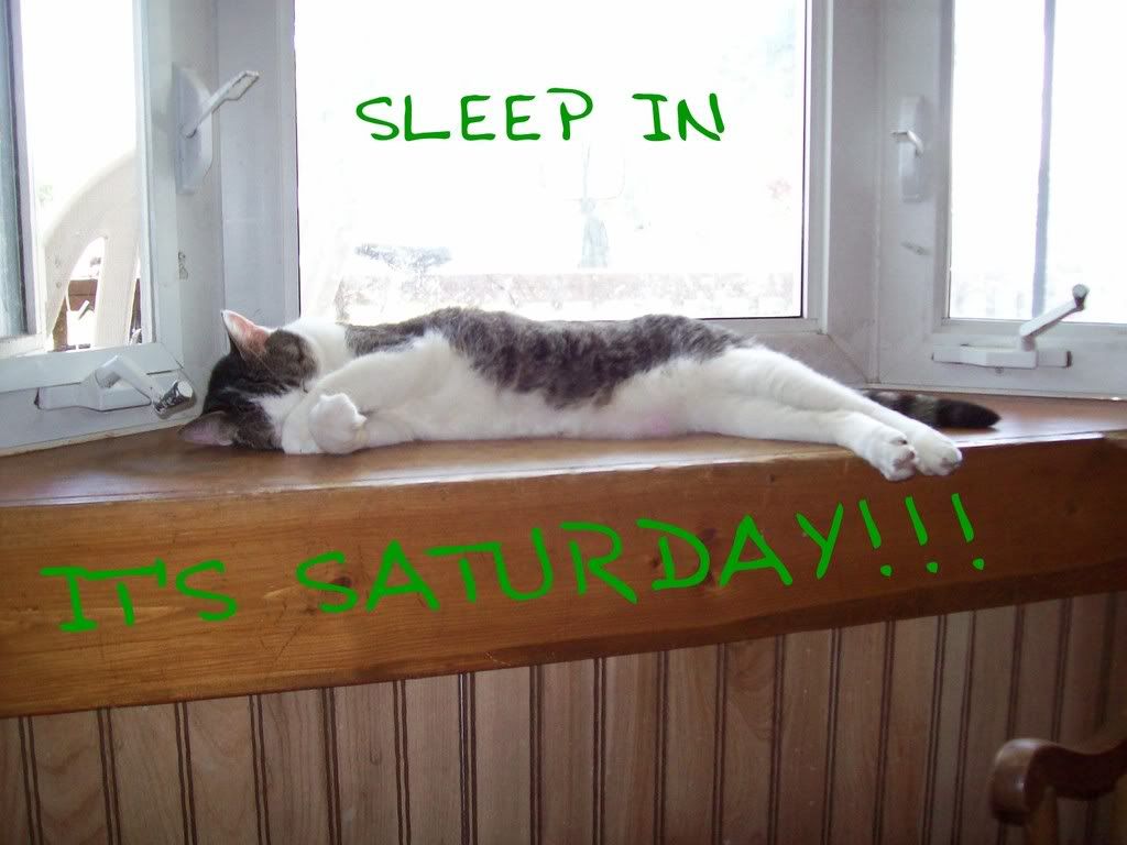 Sleep in Saturday Pictures, Images and Photos