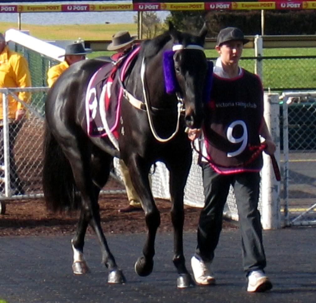 Candaulisme Voire Pictures, Images & Photos Photobucket