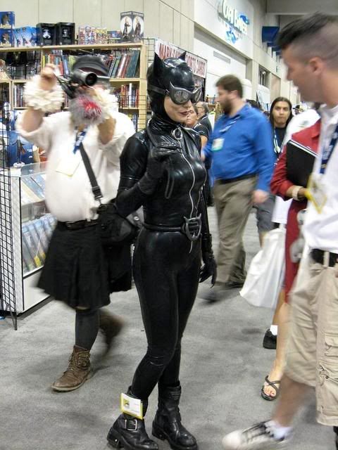 Catwoman Comic Strip