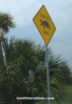 Turtle Crossing Sign on Tybee Island in Georgia
