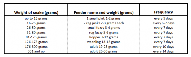 Corn Snake Mouse Size Chart