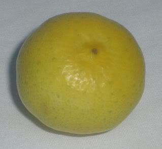 buah limau nipis ni memang banyak kegunaannya