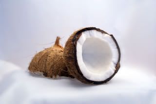 gambar kelapa tua