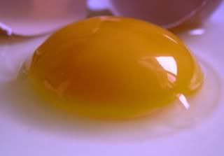 gambar kuning telur