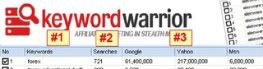 software keyword warrior