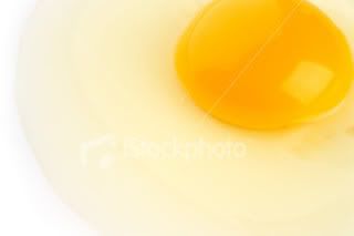 gambar kuning telur