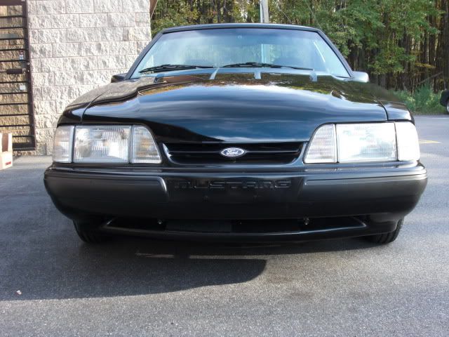 [Image: CIMG2237.jpg]