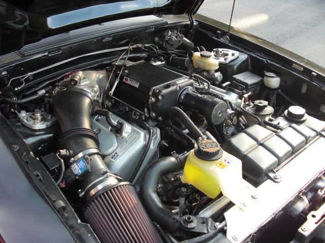 [Image: CIMG2239.jpg]