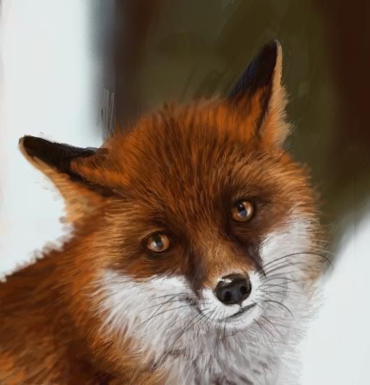 [Image: the_red_fox_3_by_picturebypali-d3acscx_zps72209b31.jpg]