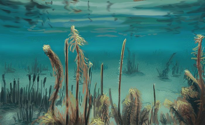 [Image: vad-lake-underwater-wallpapers-1920x1200.jpg]