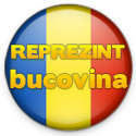Reprezint Bucovina in Recensamantul Bloggerilor