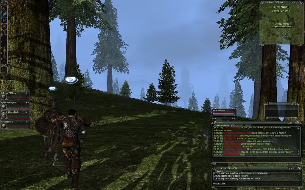 Darkfall6.jpg