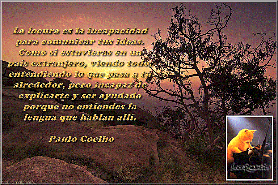 Coelho.gif Coelho...