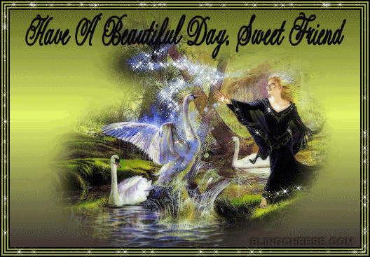  photo SWANS1_zps8af99279.gif