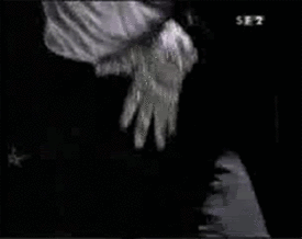 i307755731_73912_4.gif