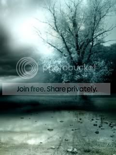 Lonely_Tree.jpg