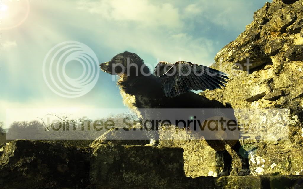 wallpack15.jpg