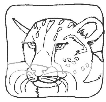 Zoo Animals 58 Coloring Pages Printable CD ROM  