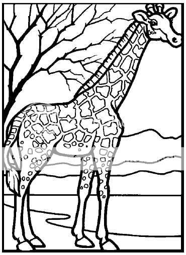 Zoo Animals 58 Coloring Pages Printable CD ROM  